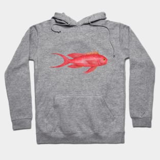 Red Grunt Hoodie